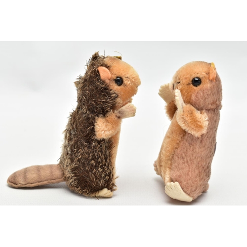 980A - TWO STEIFF POST-WAR TOYS, comprising a beaver and a hamster, the beaver with partial yellow tag and ... 