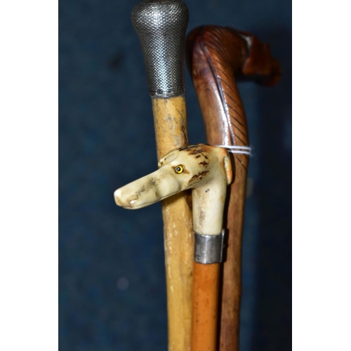 339 - A GROUP OF EARLY 20TH CENTURY CANES AND HORSE CROP, comprising a silver topped cane, monogramed AHS,... 