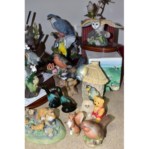 431 - A COLLECTION OF BIRD ORNAMENTS,  comprising an Aynsley robin, Wren, Blue Tit, from the Wild Bird Ser... 