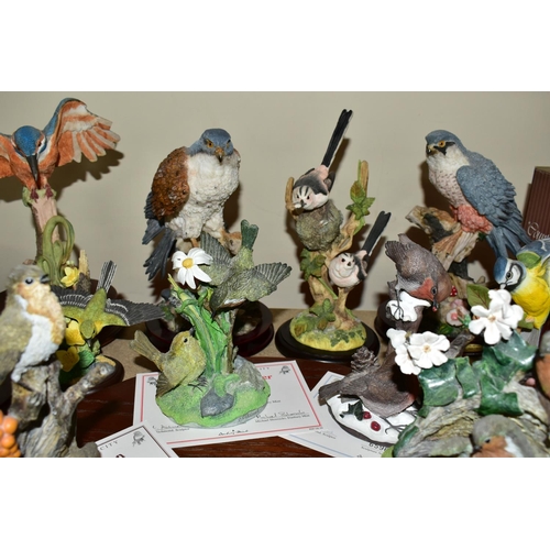 431 - A COLLECTION OF BIRD ORNAMENTS,  comprising an Aynsley robin, Wren, Blue Tit, from the Wild Bird Ser... 