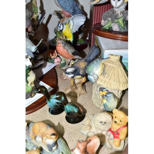 431 - A COLLECTION OF BIRD ORNAMENTS,  comprising an Aynsley robin, Wren, Blue Tit, from the Wild Bird Ser... 