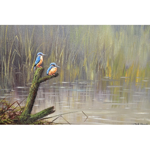 491 - JACK EDWARDS (BRITISH CONTEMPORARY) 'KINGFISHERS', a study of two Kingfishers perched atop the remai... 