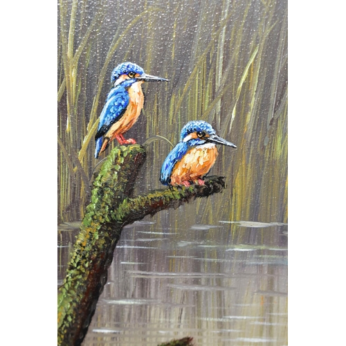 491 - JACK EDWARDS (BRITISH CONTEMPORARY) 'KINGFISHERS', a study of two Kingfishers perched atop the remai... 