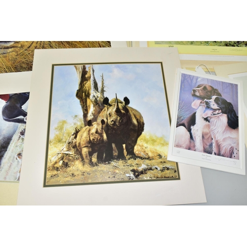 520 - SIGNED LIMITED EDITION ANIMAL THEMED PRINTS, comprising David Shepherd 'Cheetah' 1010/1500, approxim... 