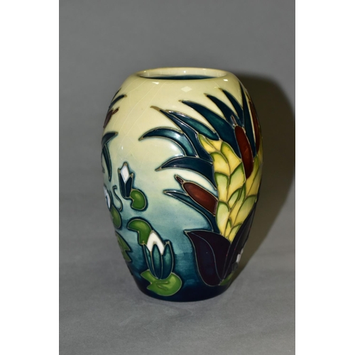 537 - A MOORCROFT POTTERY 'LAMIA' PATTERN VASE, of shouldered form, tube lined with reeds and waterlilies ... 