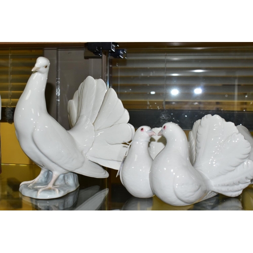 546 - THREE LLADRO DOVE FIGURINES, comprising a Couple of Doves - 1169  sculpted by Antonio Ballester issu... 