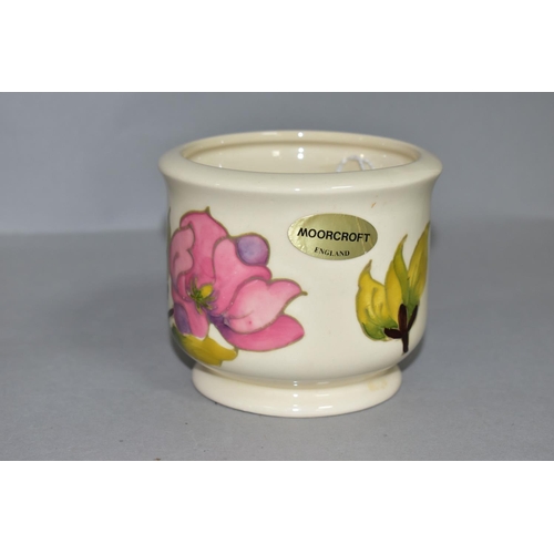 350 - A MOORCROFT POTTERY SMALL PLANTER DECORATED WITH PINK MAGNOLIA ON A CREAM GROUND, gilt label, impres... 