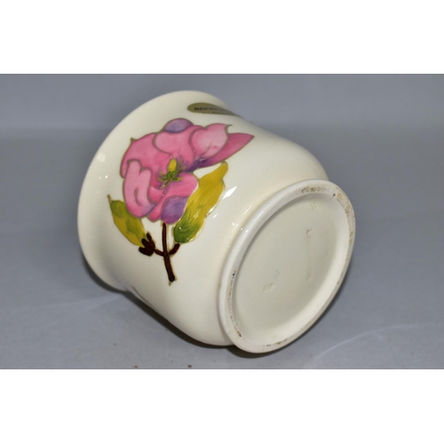 350 - A MOORCROFT POTTERY SMALL PLANTER DECORATED WITH PINK MAGNOLIA ON A CREAM GROUND, gilt label, impres... 