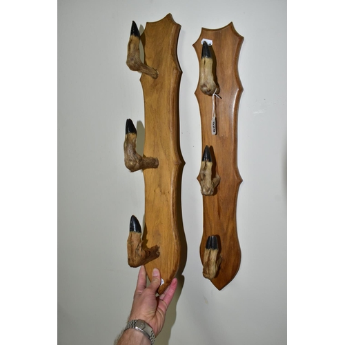 529 - A PAIR OF TAXIDERMY DEER HOOVES RACKS (formerly used to display guns) (2)