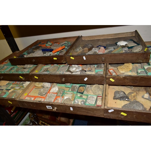 558 - EIGHT DRAWERS CONTAINING A VICTORIAN COLLECTION OF FOSSILS, to include over one hundred fossil speci... 