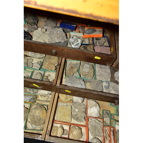 558 - EIGHT DRAWERS CONTAINING A VICTORIAN COLLECTION OF FOSSILS, to include over one hundred fossil speci... 