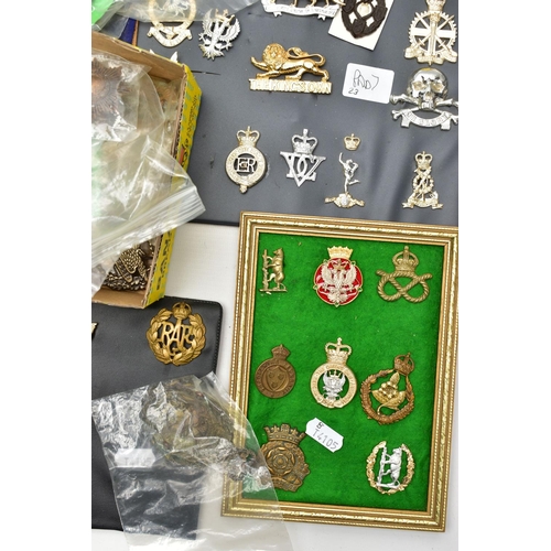 165 - A LARGE BOX OF SEVERAL DISPLAY PADS OF MILITARY CAP BADGES, shoulder titles, Airborne etc, staybrigh... 