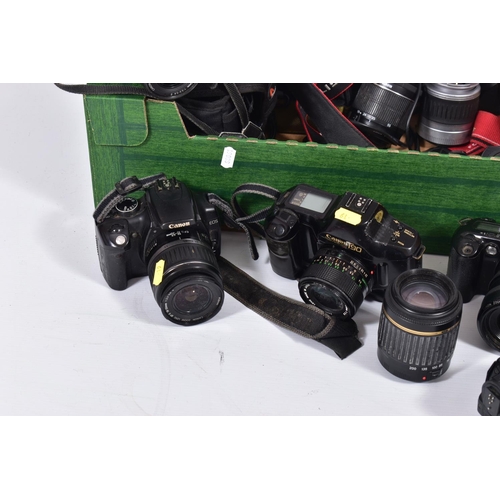 19 - A TRAY CONTAINING CANON FILM AND DIGITAL SLR CAMERAS AND LENSES including an EOS 700D fitted with a ... 