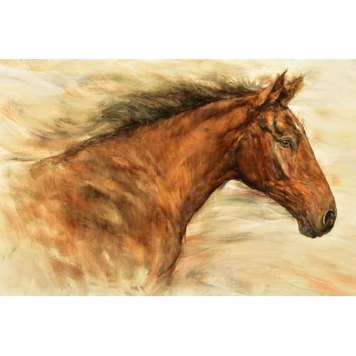 306 - GARY BENFIELD (BRITISH 1961) 'SOFT BREEZE', a portrait study of a brown horse, signed bottom right, ... 