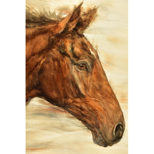 306 - GARY BENFIELD (BRITISH 1961) 'SOFT BREEZE', a portrait study of a brown horse, signed bottom right, ... 