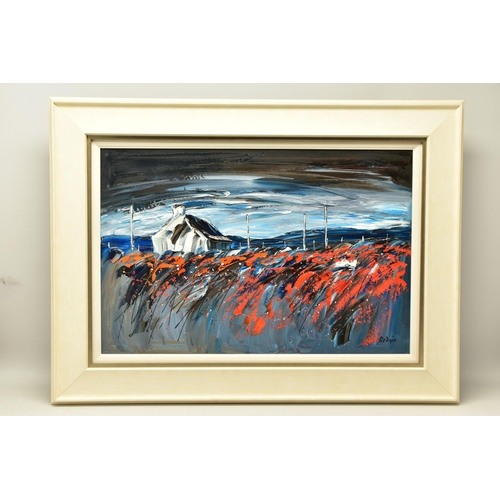 322 - LYNN RODGIE (SCOTTISH CONTEMPORARY), HEBRIDEAN RED', a Scottish landscape with stormy sky above a co... 