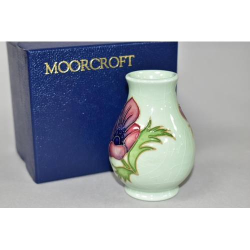 400 - A BOXED MOORCROFT POTTERY SQUAT BALUSTER TRIAL VASE DECORATED WITH ANEMONE ON A CELADON GREEN GROUND... 