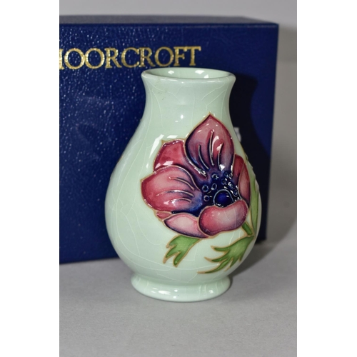 400 - A BOXED MOORCROFT POTTERY SQUAT BALUSTER TRIAL VASE DECORATED WITH ANEMONE ON A CELADON GREEN GROUND... 