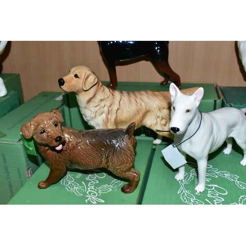 415 - NINE BOXED BESWICK DOG FIGURES, comprising a white gloss Bull Terrier 'Romany Rhinestone' - Large mo... 