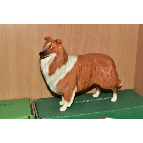 415 - NINE BOXED BESWICK DOG FIGURES, comprising a white gloss Bull Terrier 'Romany Rhinestone' - Large mo... 