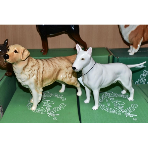 415 - NINE BOXED BESWICK DOG FIGURES, comprising a white gloss Bull Terrier 'Romany Rhinestone' - Large mo... 