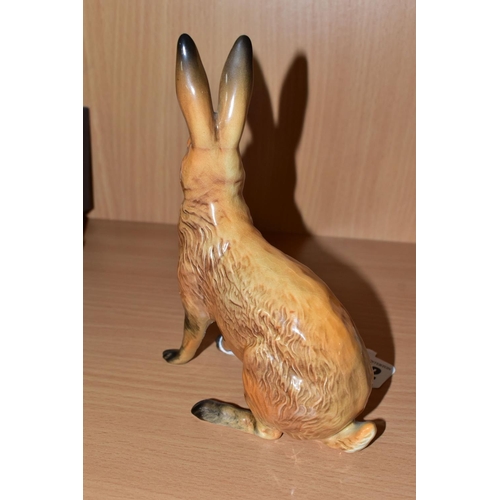 302 - A BESWICK FIGURE OF A SEATED HARE, model no 1025, tan gloss finish, issued 1945-1963, height 18cm, i... 