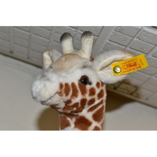 367 - TWO CENTENARY COLLECTION STEIFF TEDDIES AND A STEIFF TIERLEBEN GIRAFFE, Giraffe 50 - 068089 with ori... 