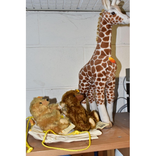 367 - TWO CENTENARY COLLECTION STEIFF TEDDIES AND A STEIFF TIERLEBEN GIRAFFE, Giraffe 50 - 068089 with ori... 