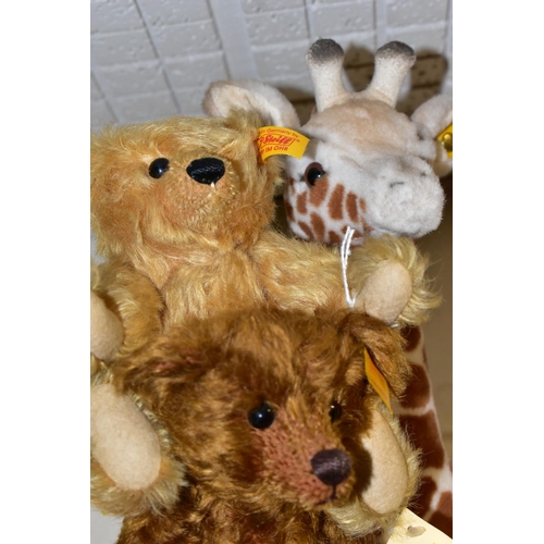 367 - TWO CENTENARY COLLECTION STEIFF TEDDIES AND A STEIFF TIERLEBEN GIRAFFE, Giraffe 50 - 068089 with ori... 