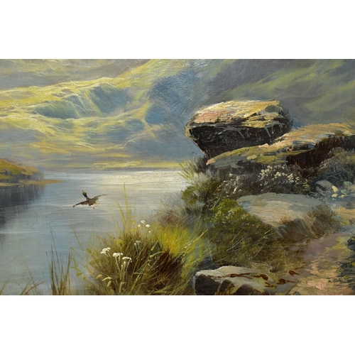 496 - DAVID HICKS (19TH / 20TH CENTURY) A SCOTTISH LANDSCAPE SCENE, depicting a footpath beside a Loch to ... 