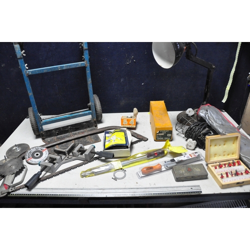 1121 - A SELECTION OF MISCELLANEOUS to include a quantity of tools such as mole grips, chainsaw sharpener, ... 