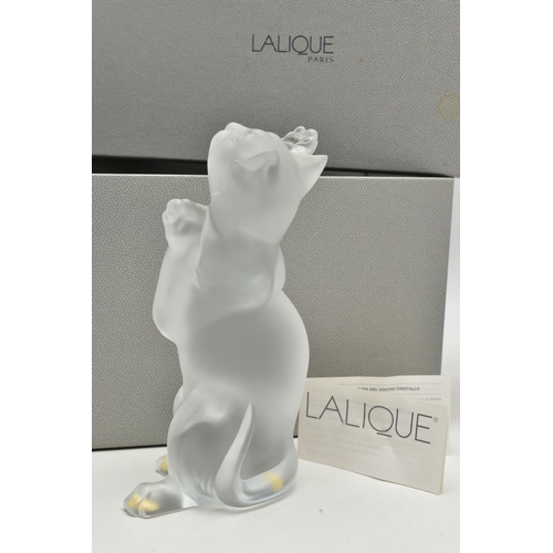 110 - A LALIQUE FIGURE OF A PLAYFUL CAT SITTING BACK ON ITS HIND LEGS, possibly known as Laughing Cat, ser... 