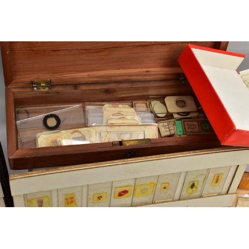 138 - MICROSCOPE SLIDES: a collection of late Victorian and assorted 20th century microscope slides of flo... 