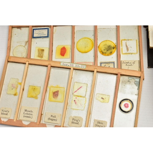 138 - MICROSCOPE SLIDES: a collection of late Victorian and assorted 20th century microscope slides of flo... 