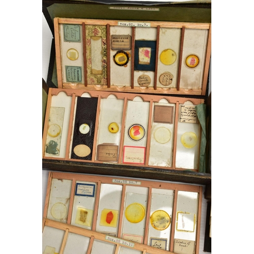 138 - MICROSCOPE SLIDES: a collection of late Victorian and assorted 20th century microscope slides of flo... 