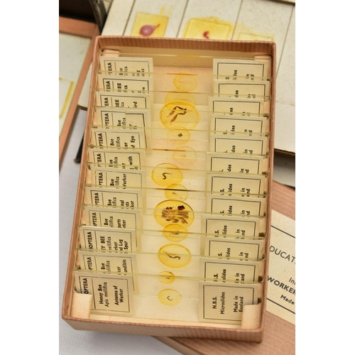 138 - MICROSCOPE SLIDES: a collection of late Victorian and assorted 20th century microscope slides of flo... 