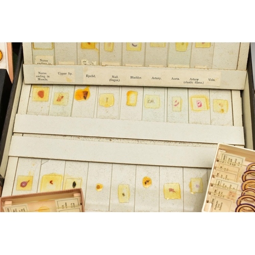 138 - MICROSCOPE SLIDES: a collection of late Victorian and assorted 20th century microscope slides of flo... 