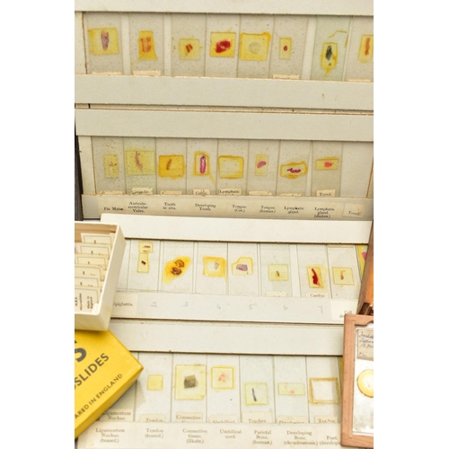 138 - MICROSCOPE SLIDES: a collection of late Victorian and assorted 20th century microscope slides of flo... 