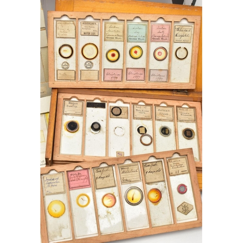 138 - MICROSCOPE SLIDES: a collection of late Victorian and assorted 20th century microscope slides of flo... 