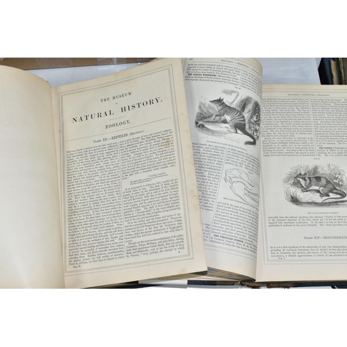 505 - BOOKS, THE MUSEUM OF NATURAL HISTORY in two volumes by Sir John Richardson, William S. Dallas, T. Sp... 