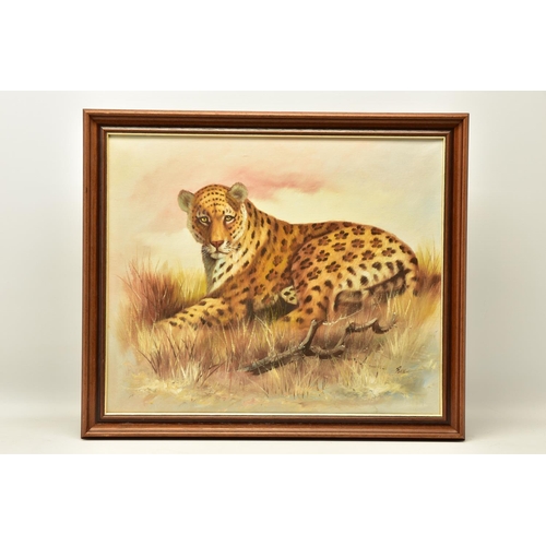 317 - REX (20TH CENTURY), study of a recumbent leopard in the Savannah, oil on canvas, approximate size 49... 