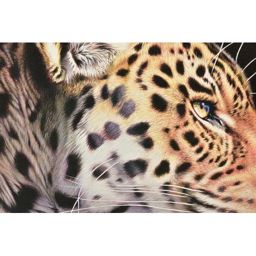 328 - DARRYN EGGLETON (SOUTH AFRICA 1981) 'THE WILD SIDE I', a signed limited edition box canvas print dep... 