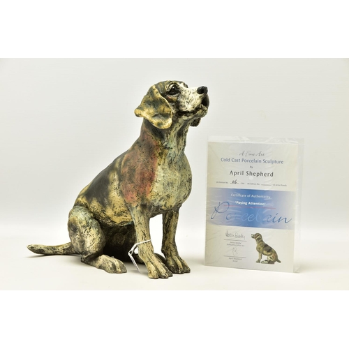 340 - APRIL SHEPHERD (BRITISH CONTEMPORARY) 'PAYING ATTENTION', a limited edition sculpture of a dog, impr... 