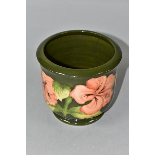 378 - A MOORCROFT POTTERY PLANTER, in the Coral Hibiscus pattern on a green ground, height 12.5cm x intern... 