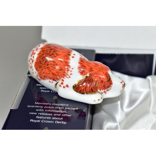 445 - A BOXED ROYAL CROWN DERBY PUPPY PAPERWEIGHT, an exclusive to The Royal Crown Derby Collectors Guild,... 