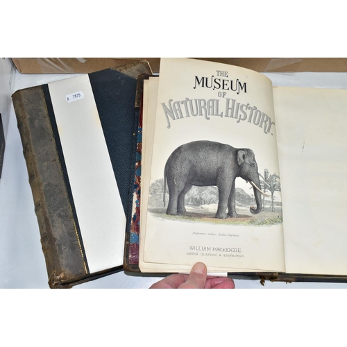 505 - BOOKS, THE MUSEUM OF NATURAL HISTORY in two volumes by Sir John Richardson, William S. Dallas, T. Sp... 