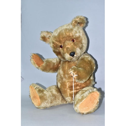 506 - A 20TH CENTURY CHILTERN HYGIENIC TOYS TEDDY BEAR, disc joints, stitched features, blonde mohair, hei... 