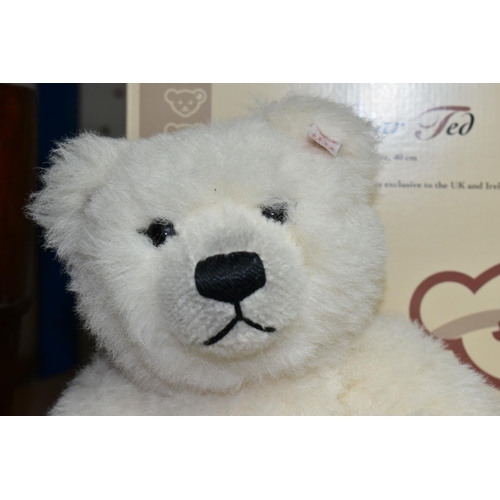 597 - A LIMITED EDITION STEIFF 'POLAR TED' TEDDY BEAR, a fully jointed bear, edition number 1747/2000 with... 