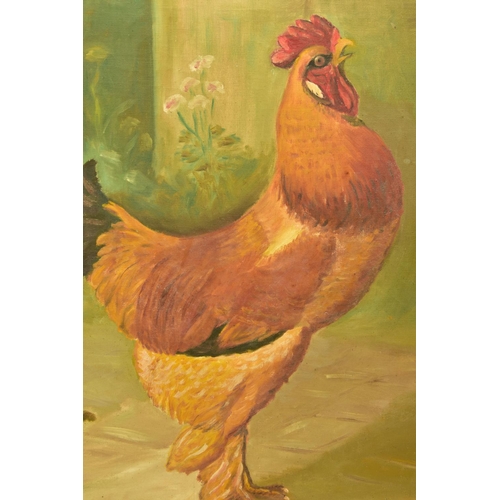 295 - A.R. MANCHE (20TH CENTURY) TWO NAIVE STUDIES OF ORNAMENTAL CHICKENS, both signed and dated 1958, oil... 