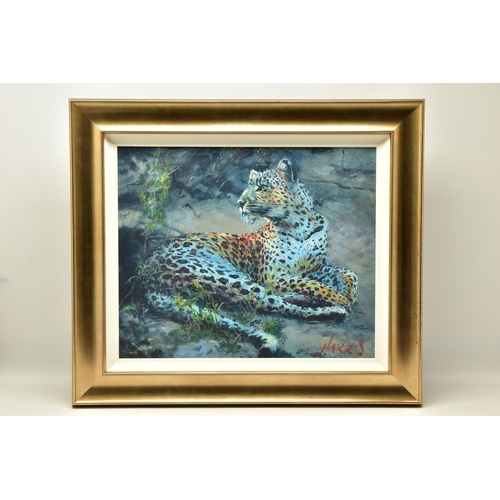 318 - ROLF HARRIS (AUSTRALIAN 1930) 'LEOPARD RECLINING AT DUSK', signed limited edition print, 84/195 no c... 